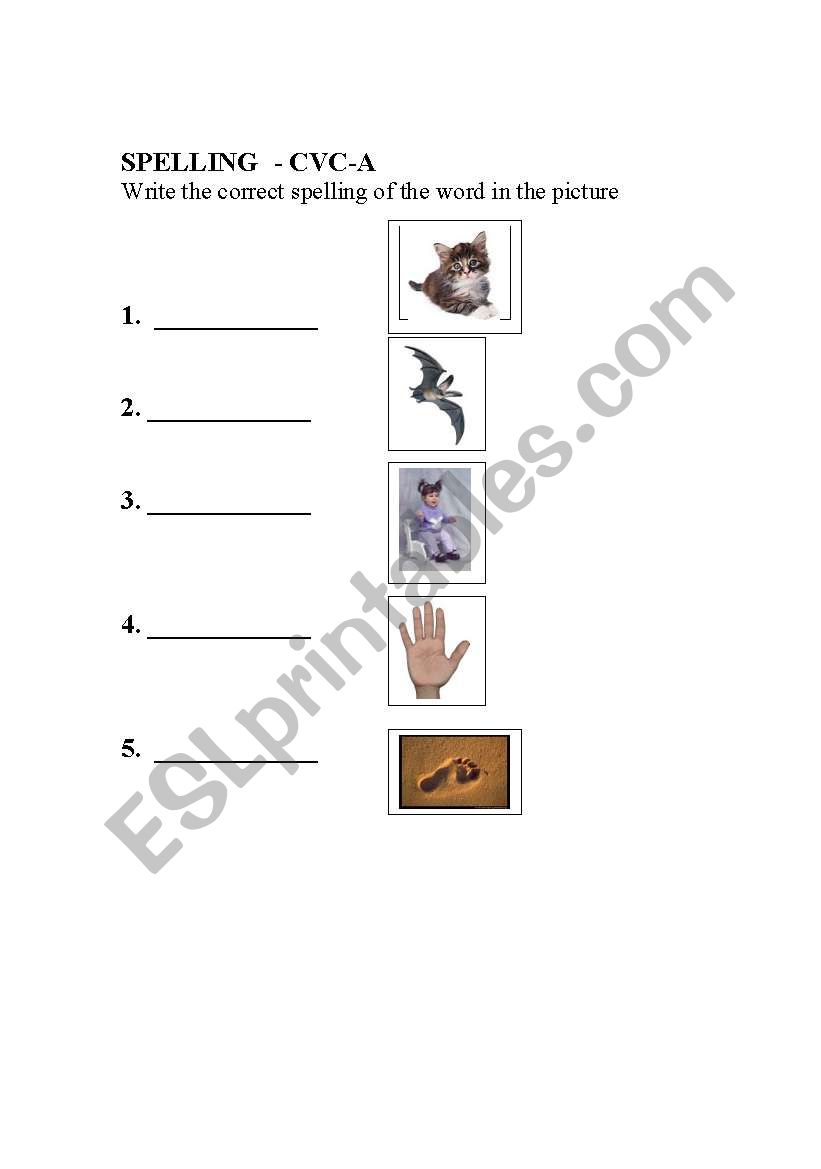 Spelling CVC-a worksheet