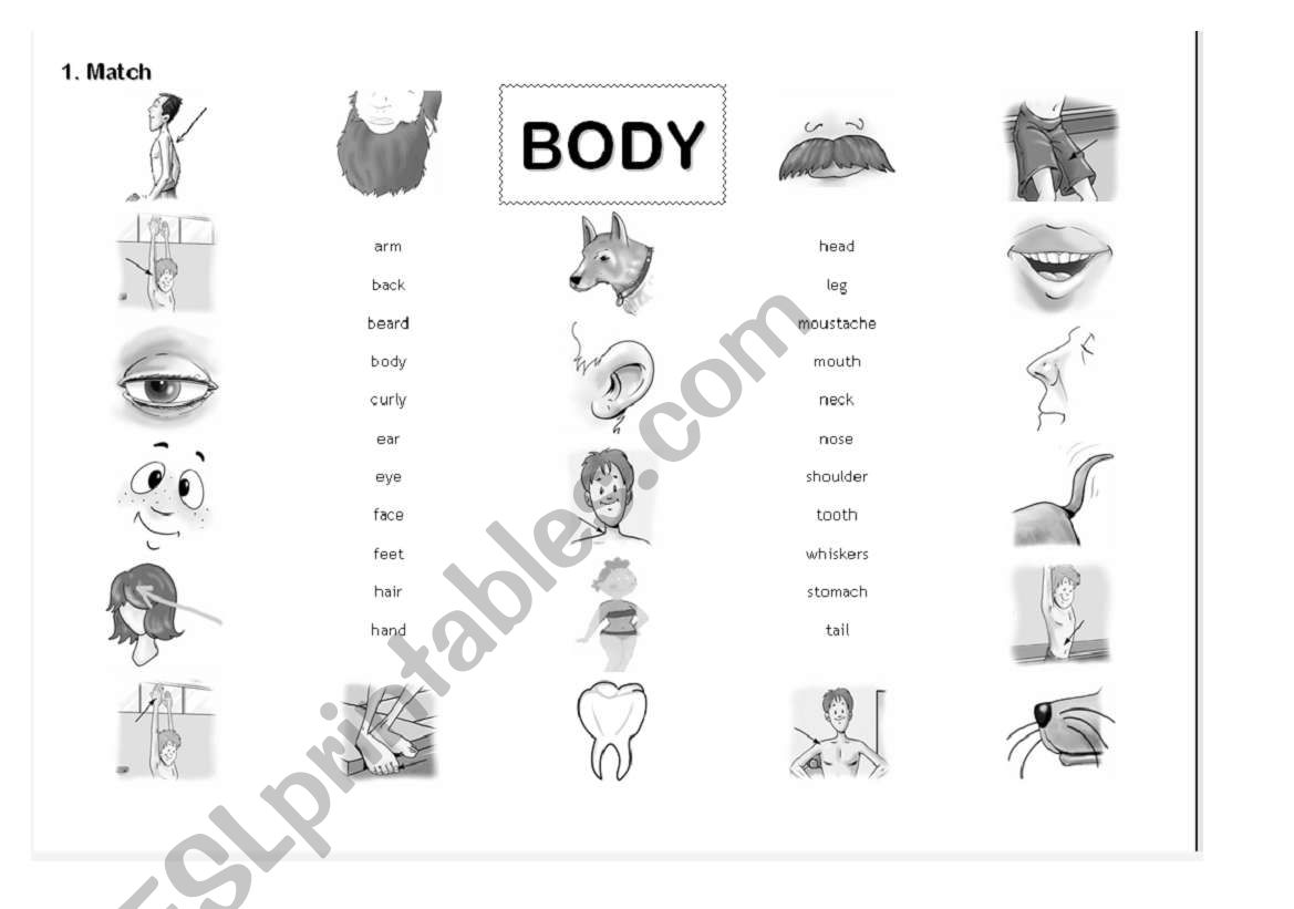 YLE Movers Body 1 worksheet