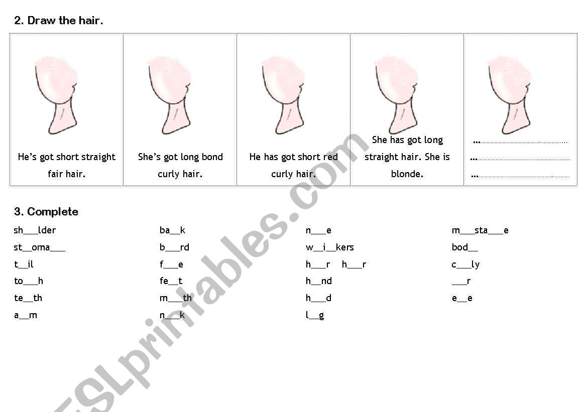 YLE  Movers - Body 2 worksheet