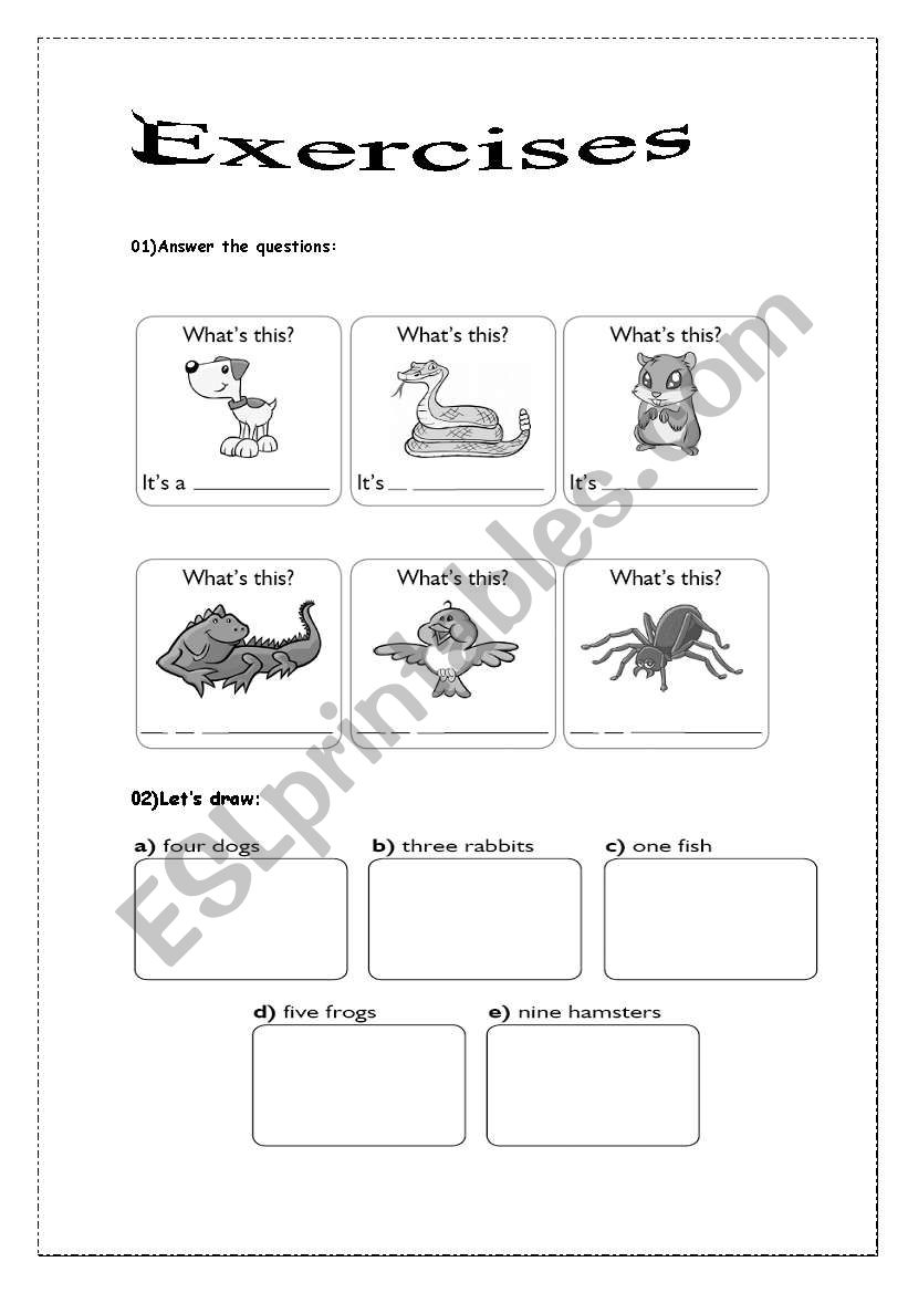 animals worksheet