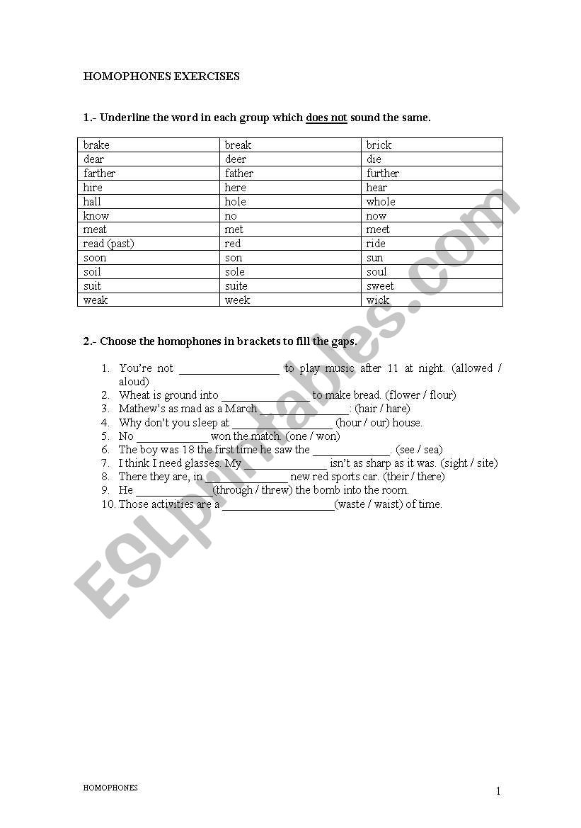 HOMOPHONES worksheet