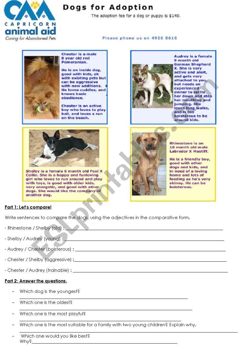 Dogs for Adoption worksheet