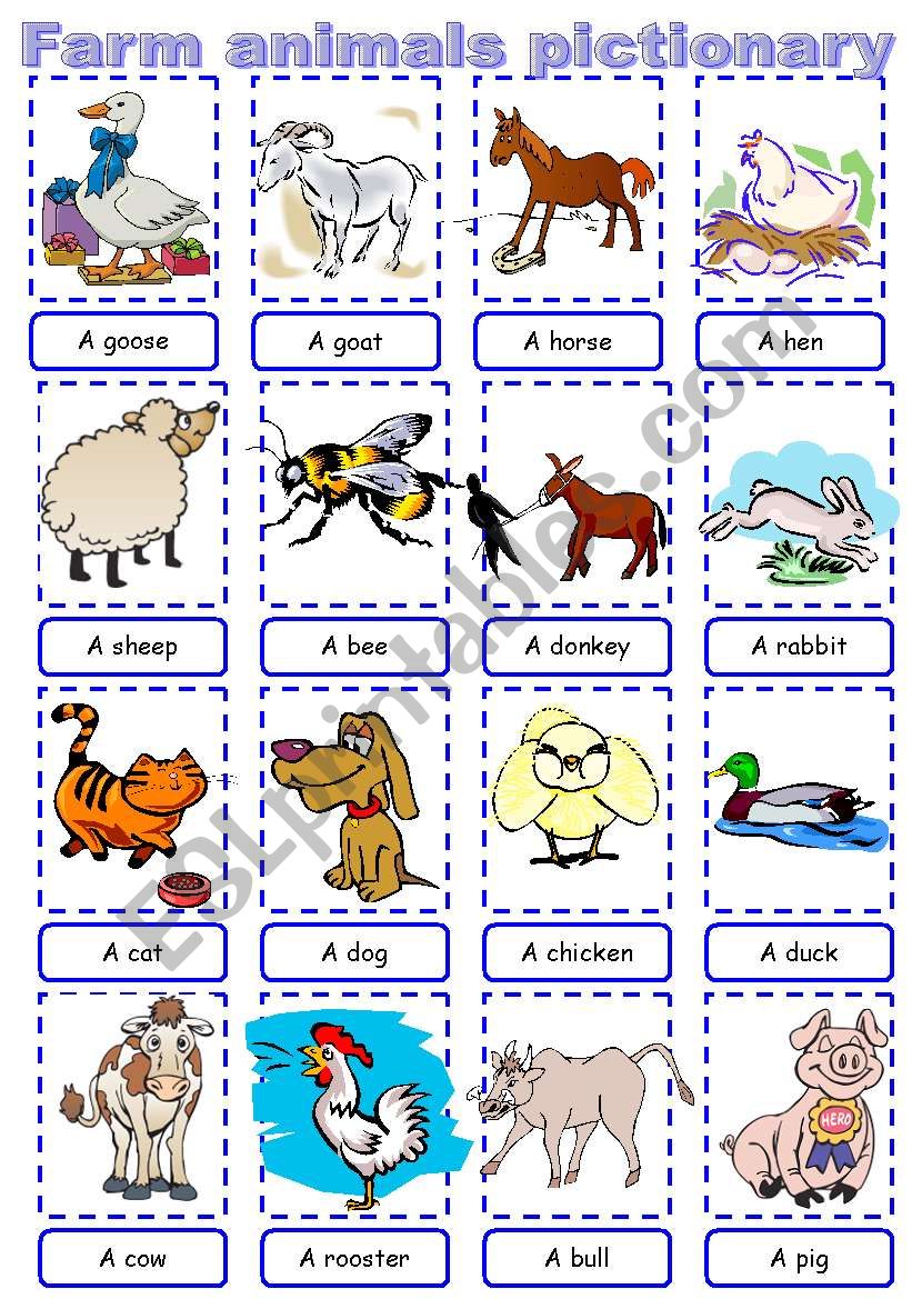Farm animals pictionary worksheet