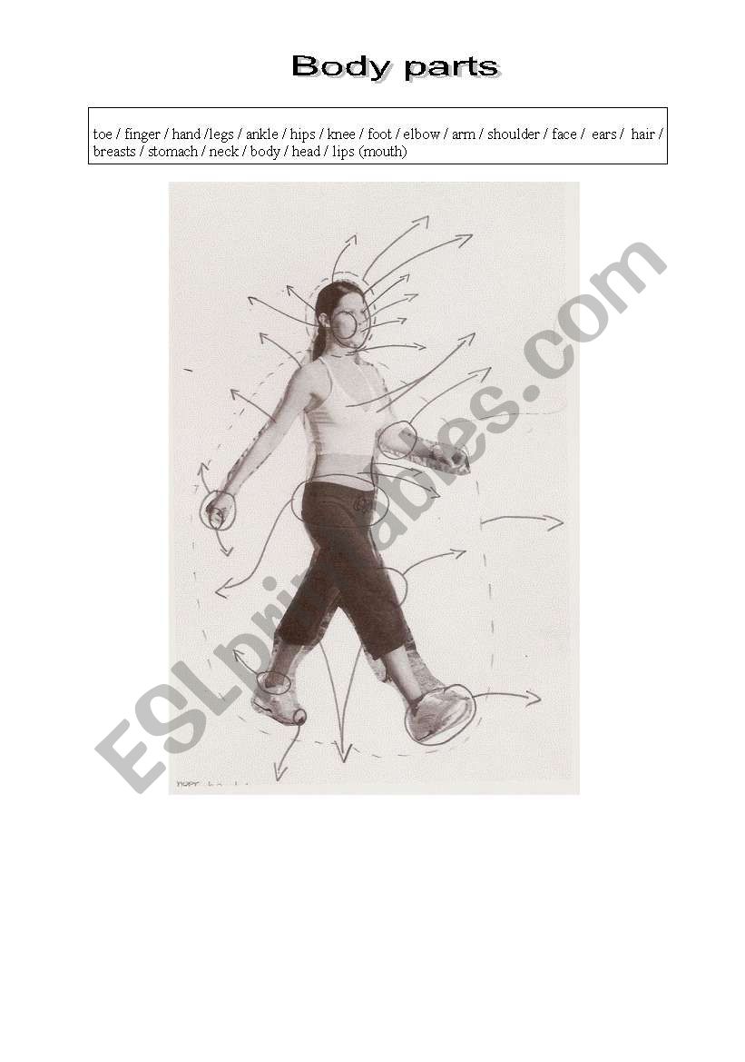 Body parts worksheet