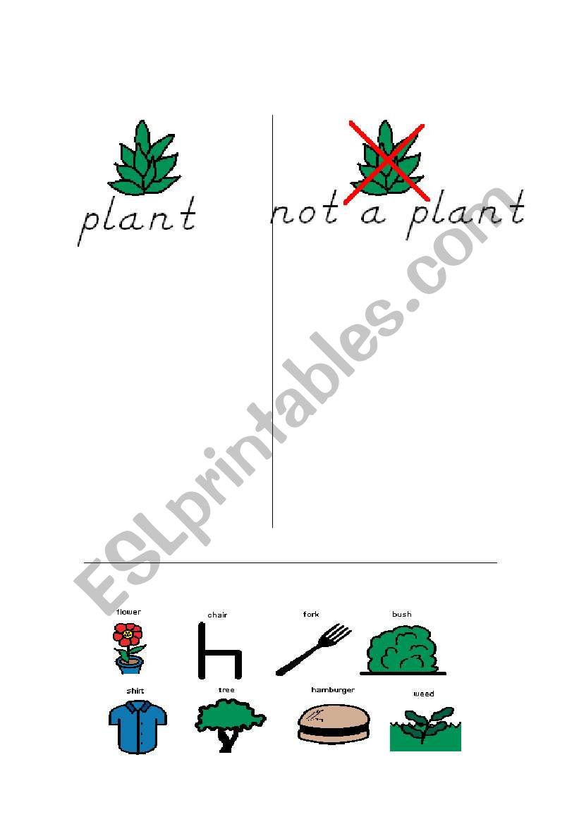 PlantSorting worksheet