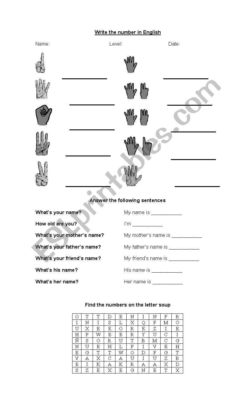 numbersand presentation worksheet