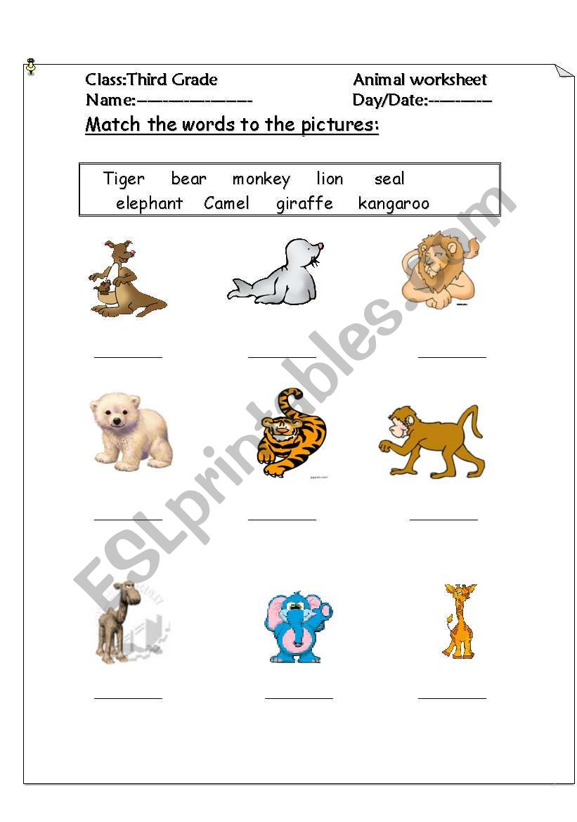 animals worksheet