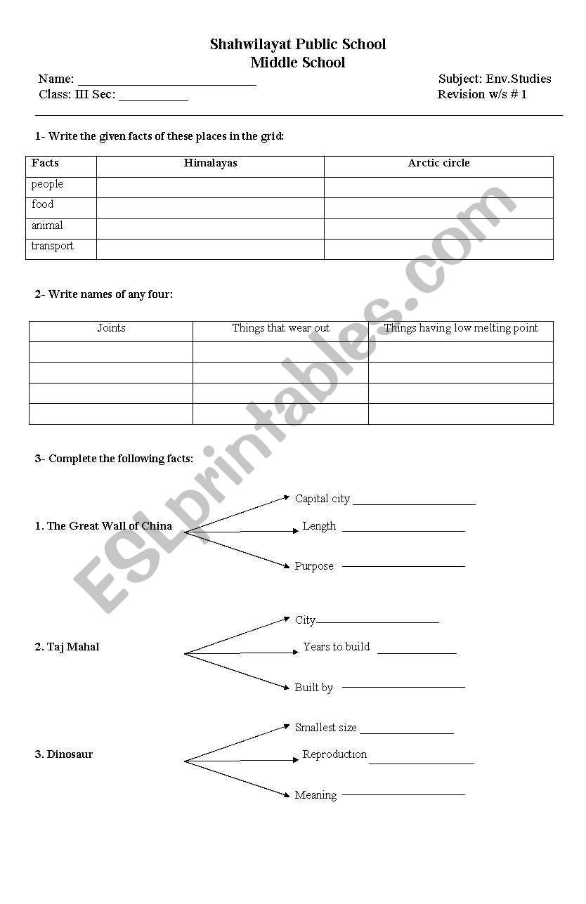 social studies worksheet