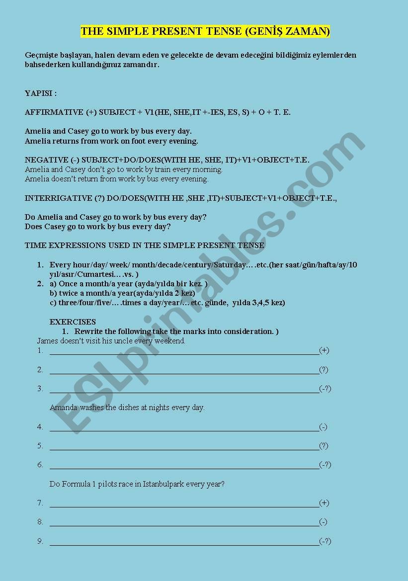 THE 12TH GRADES WORKSHEET worksheet