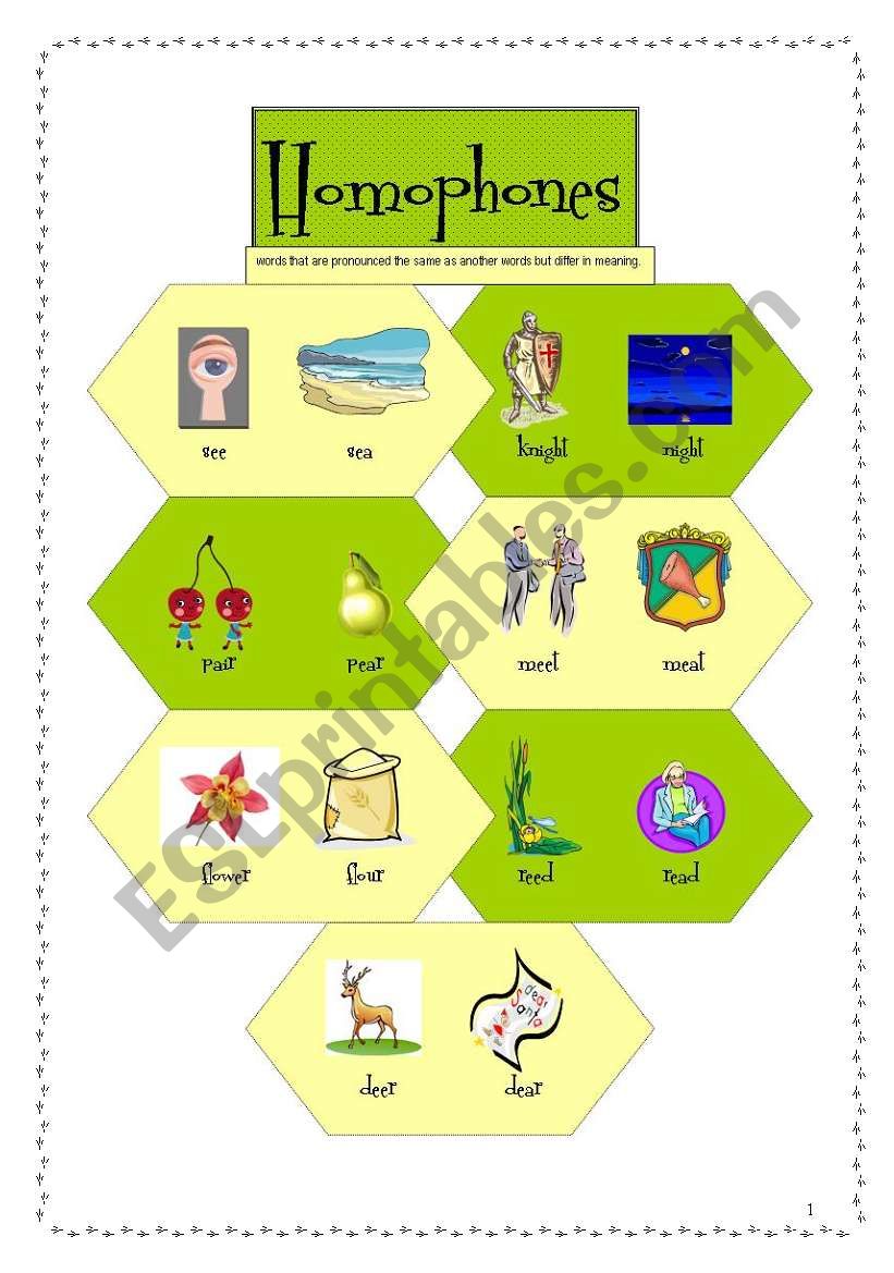 homophones worksheet