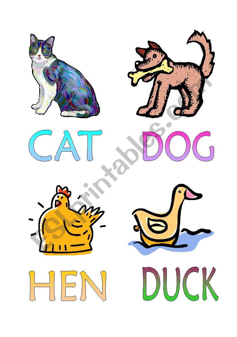 ANIMALS!! worksheet