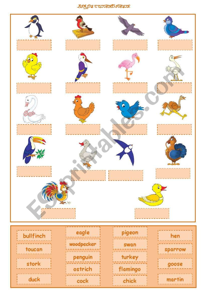 Birds Cut and Paste worksheet