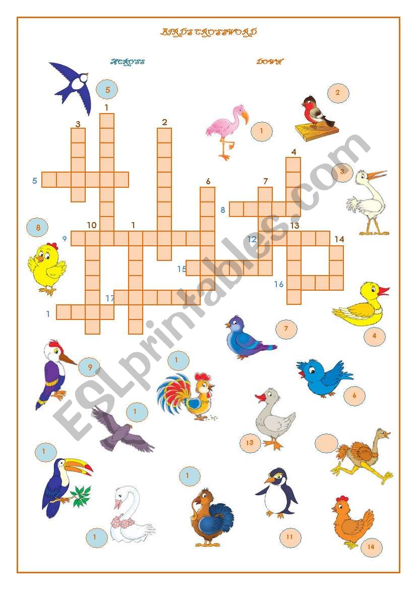 Birds Crossword worksheet