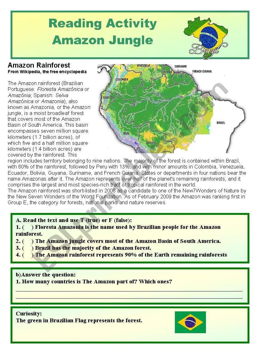 Reading Activity - Amazon Jungle