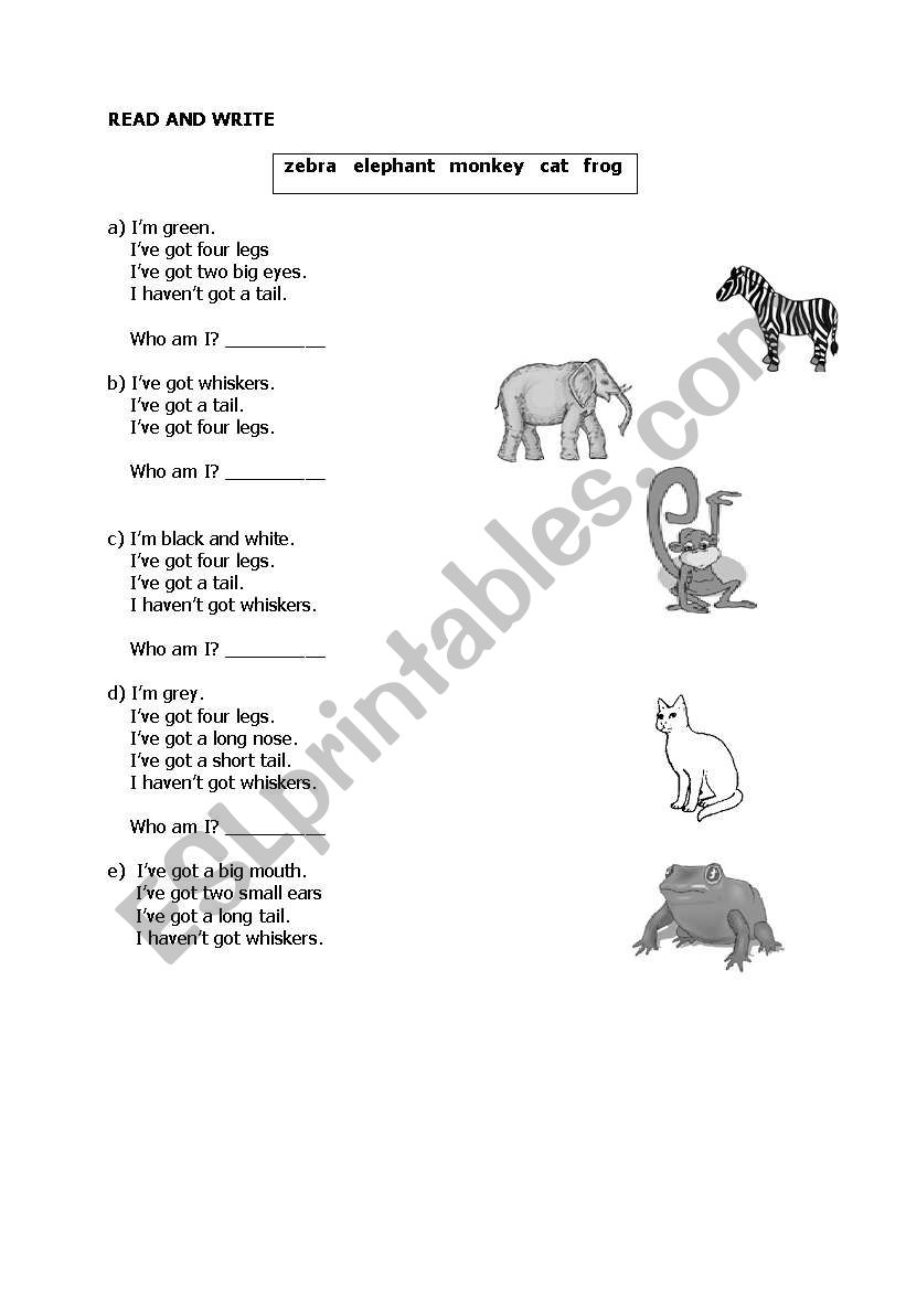 Animals Matching Exercise  worksheet