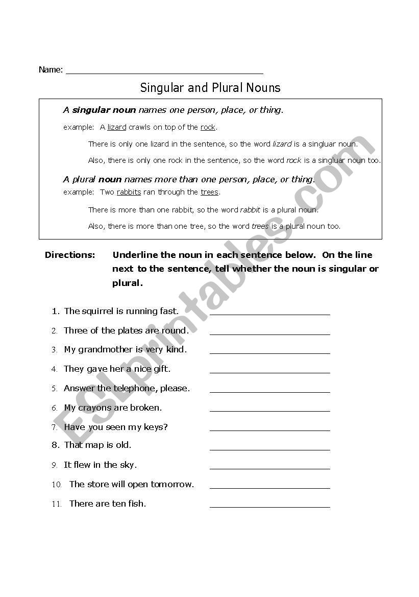 Singular and Plural Nouns worksheet