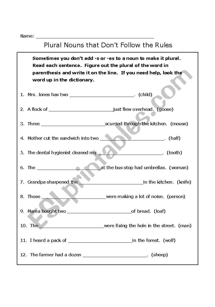 Singular and Plural Noun - Part III