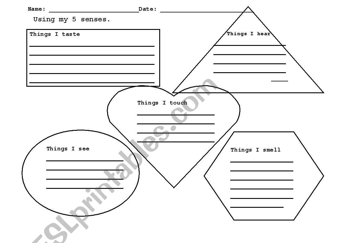 The 5 Sense worksheet