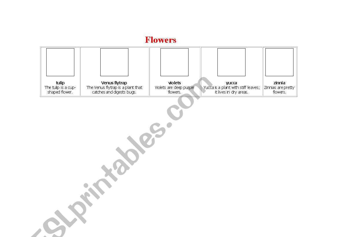 Flowers worksheet