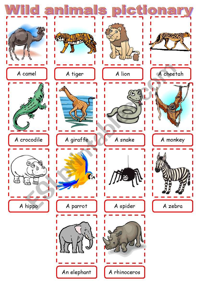 Wild animals pictionary worksheet