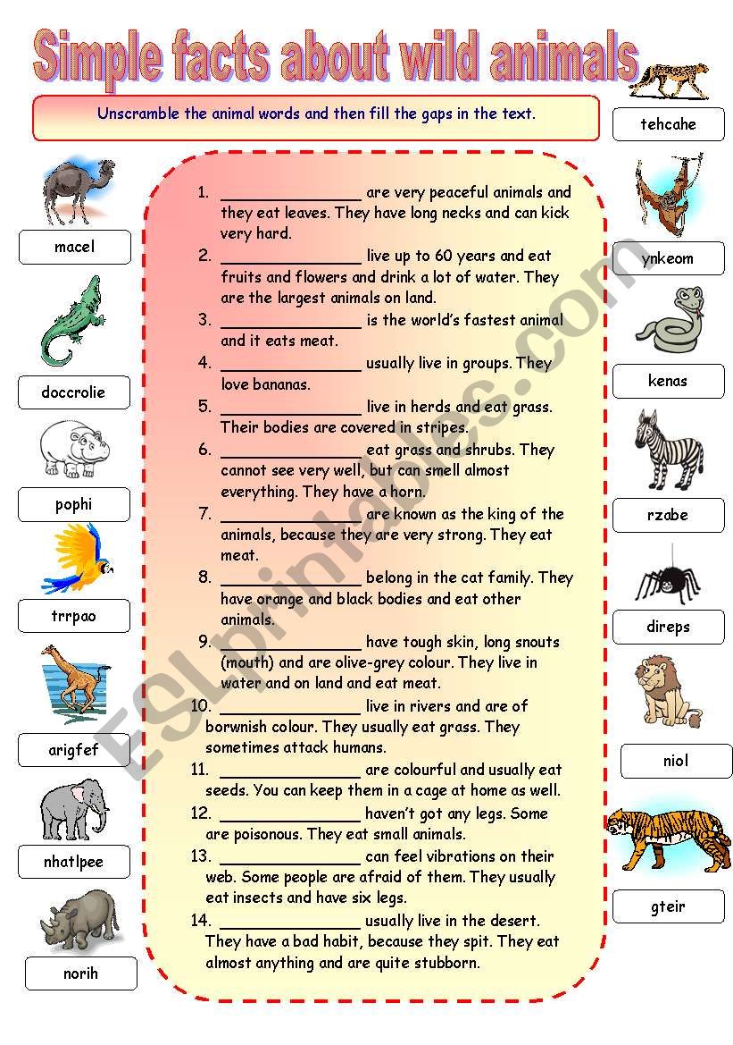 Simple facts about wild animals gap fill - ESL worksheet by maayyaa