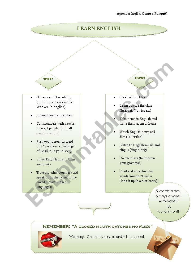 Learn English: WHY AND HOW? worksheet