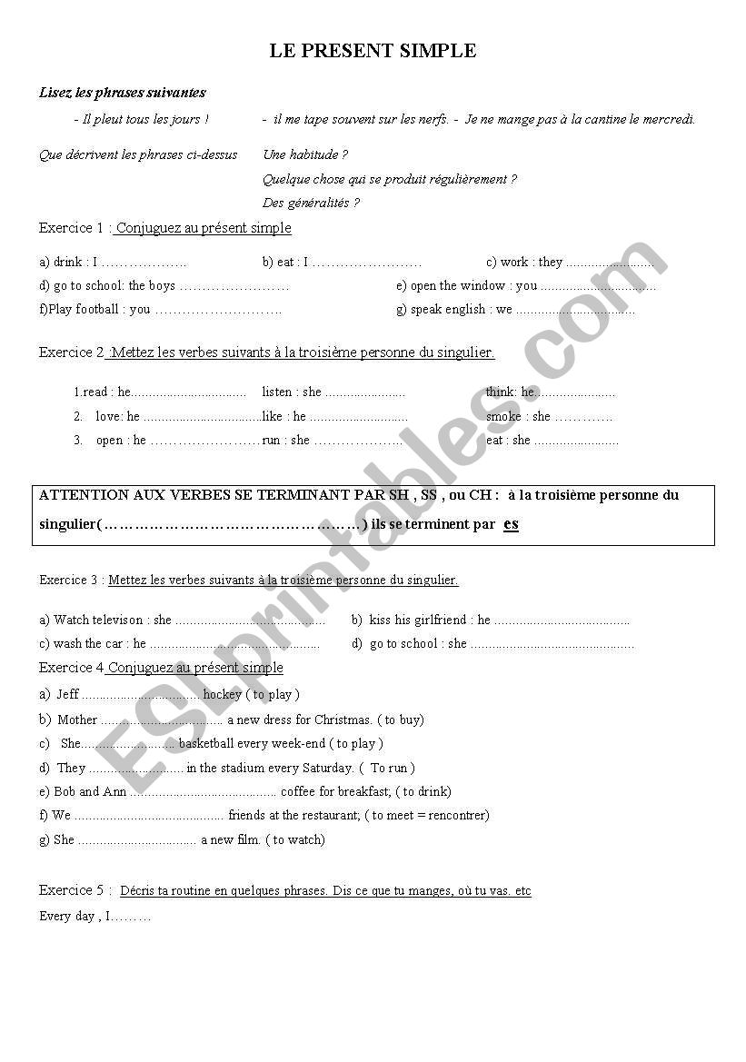 Simple present grammar lesson worksheet