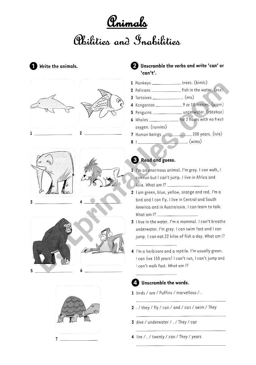 Abilities worksheet