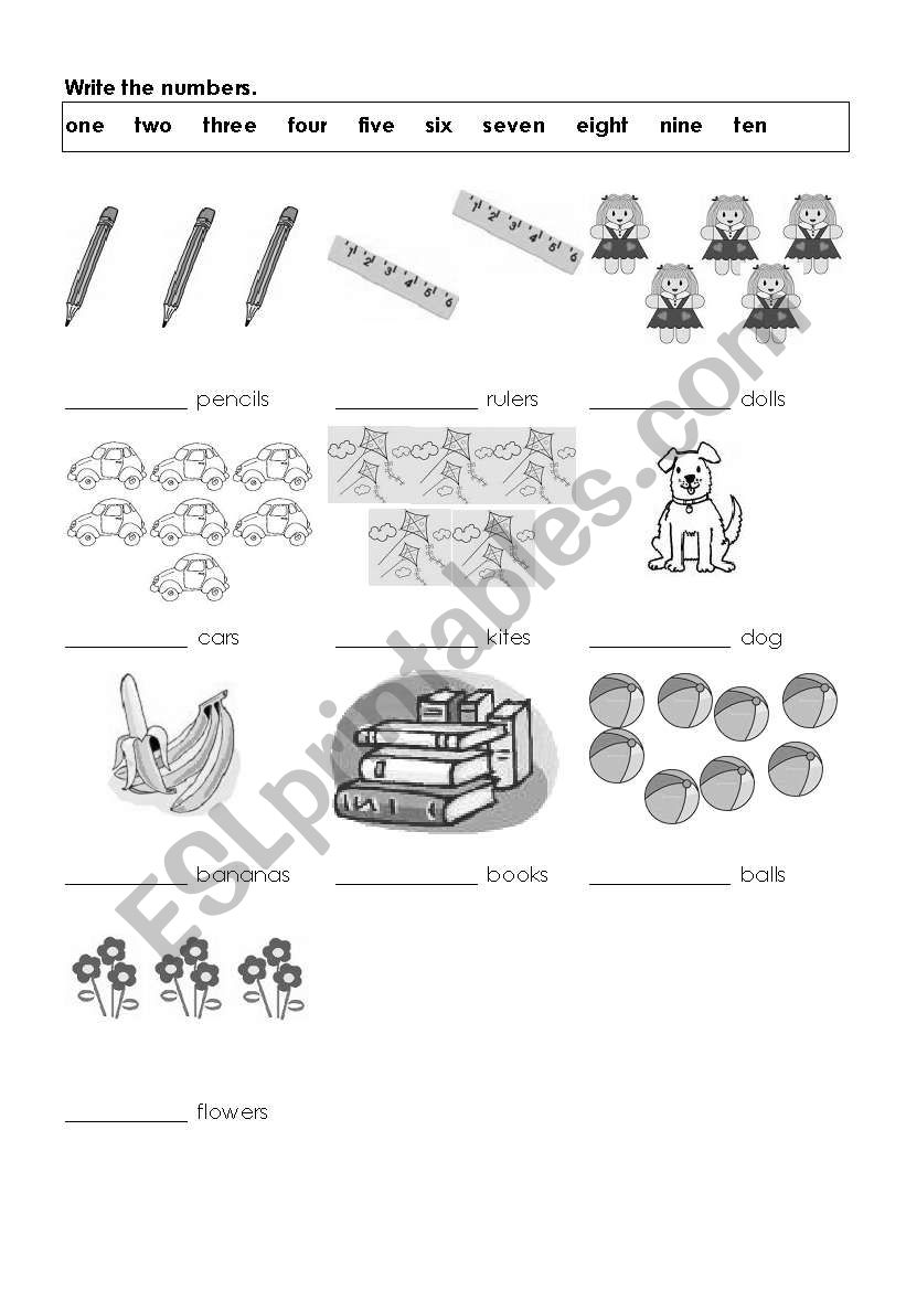 numbers worksheet