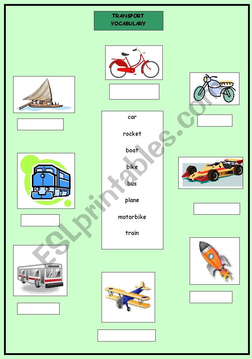 Transport  worksheet