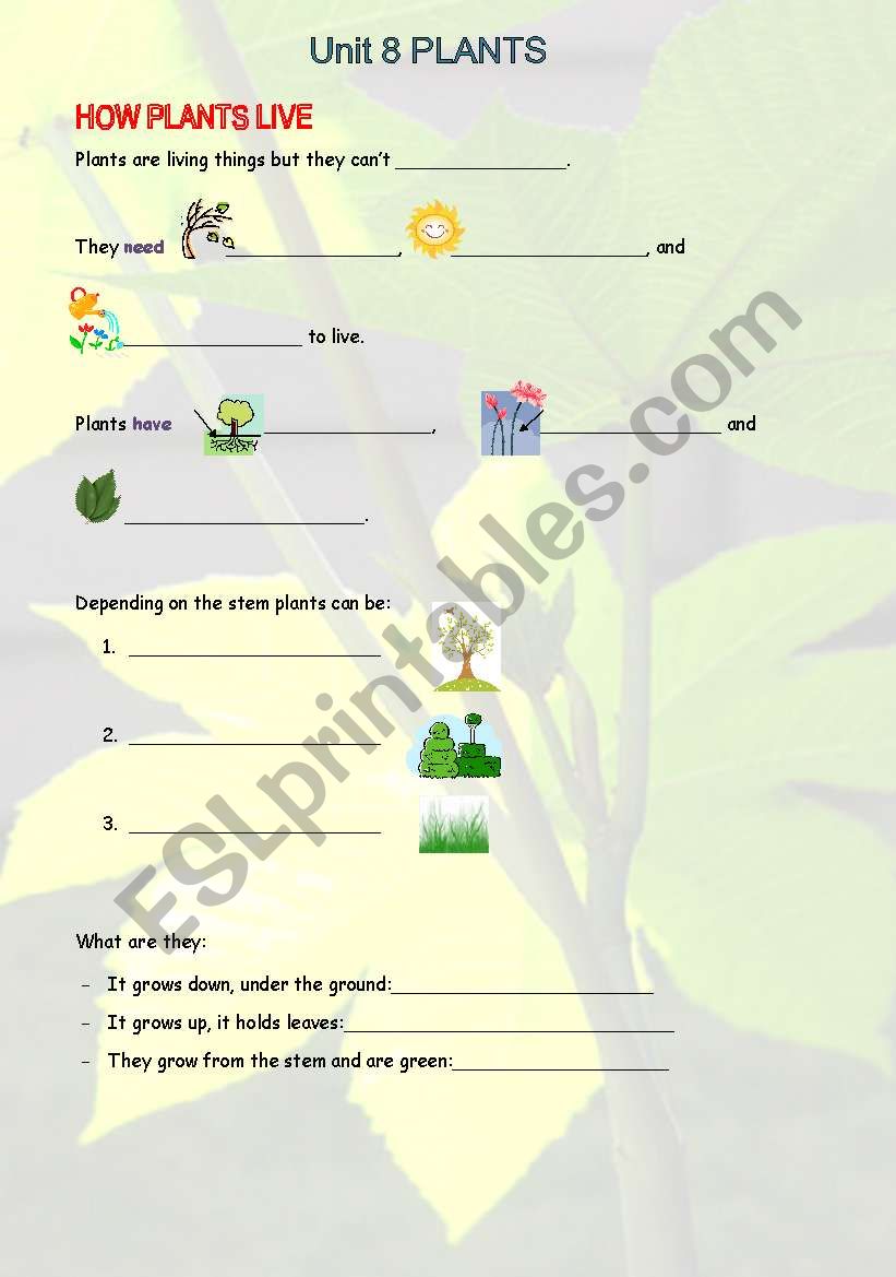 SCIENCE UNIT 8. 2ND GRADE. PLANTS.