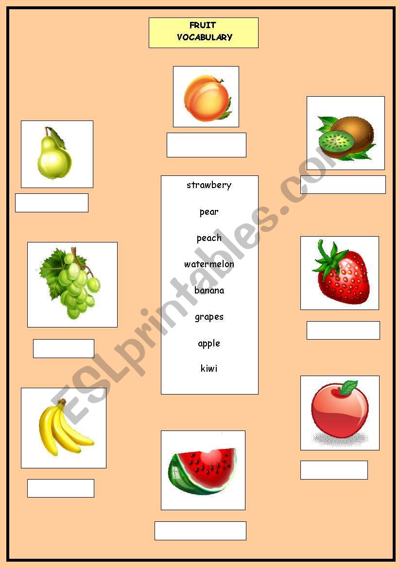 Fruit vocabulary worksheet