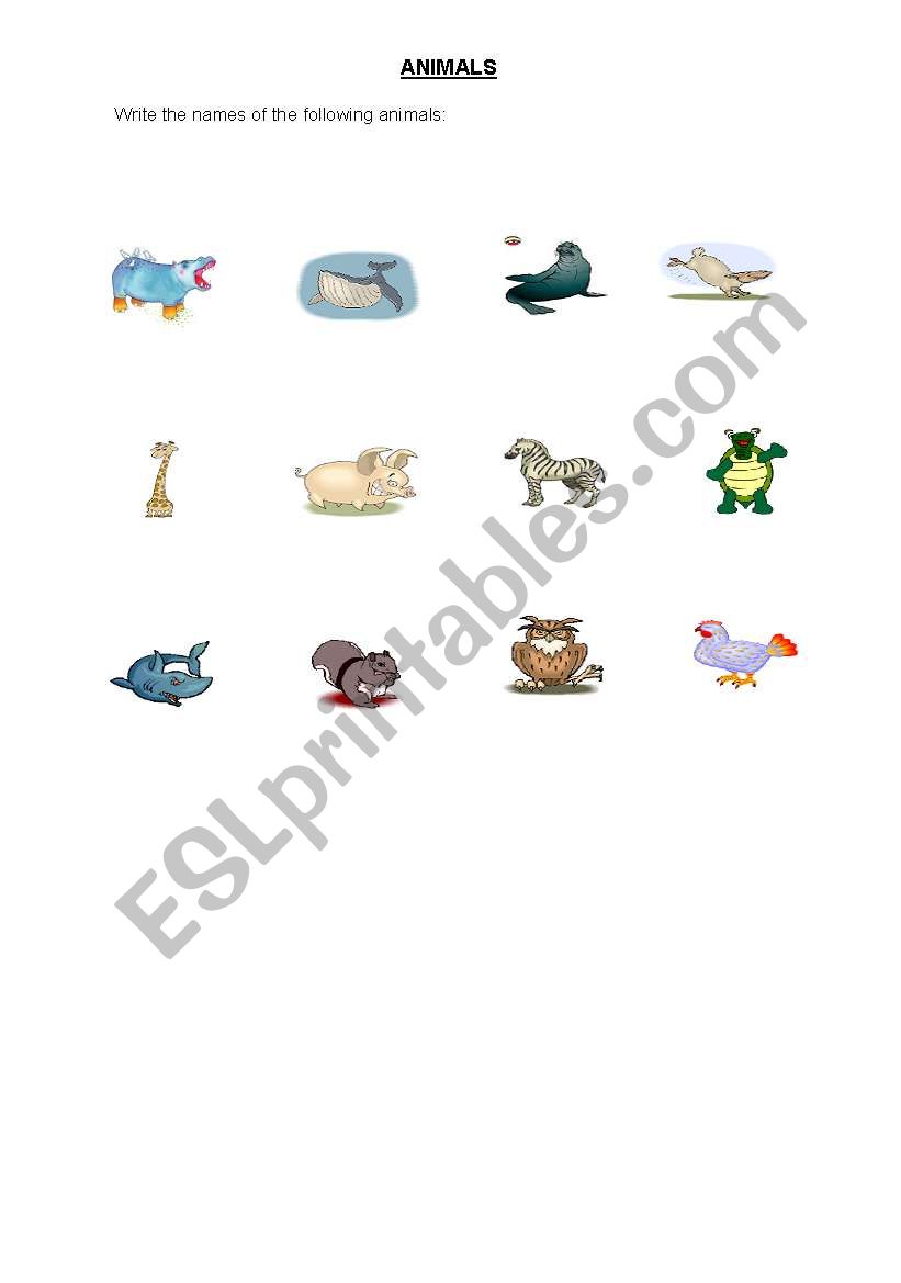 Animals worksheet