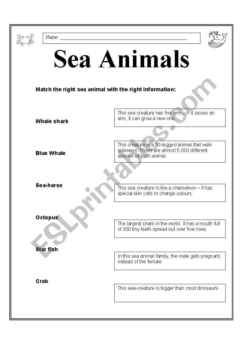 Sea animals worksheet