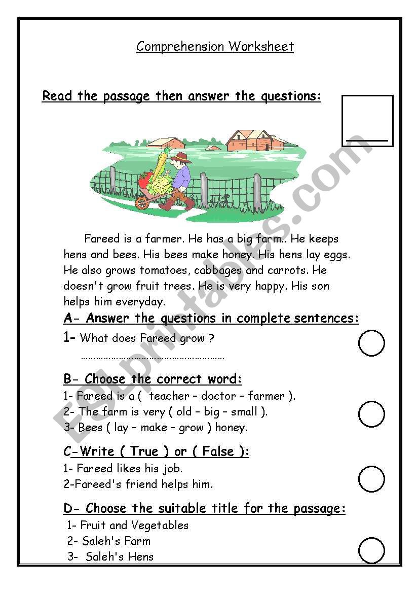 Comprehension Worksheet worksheet