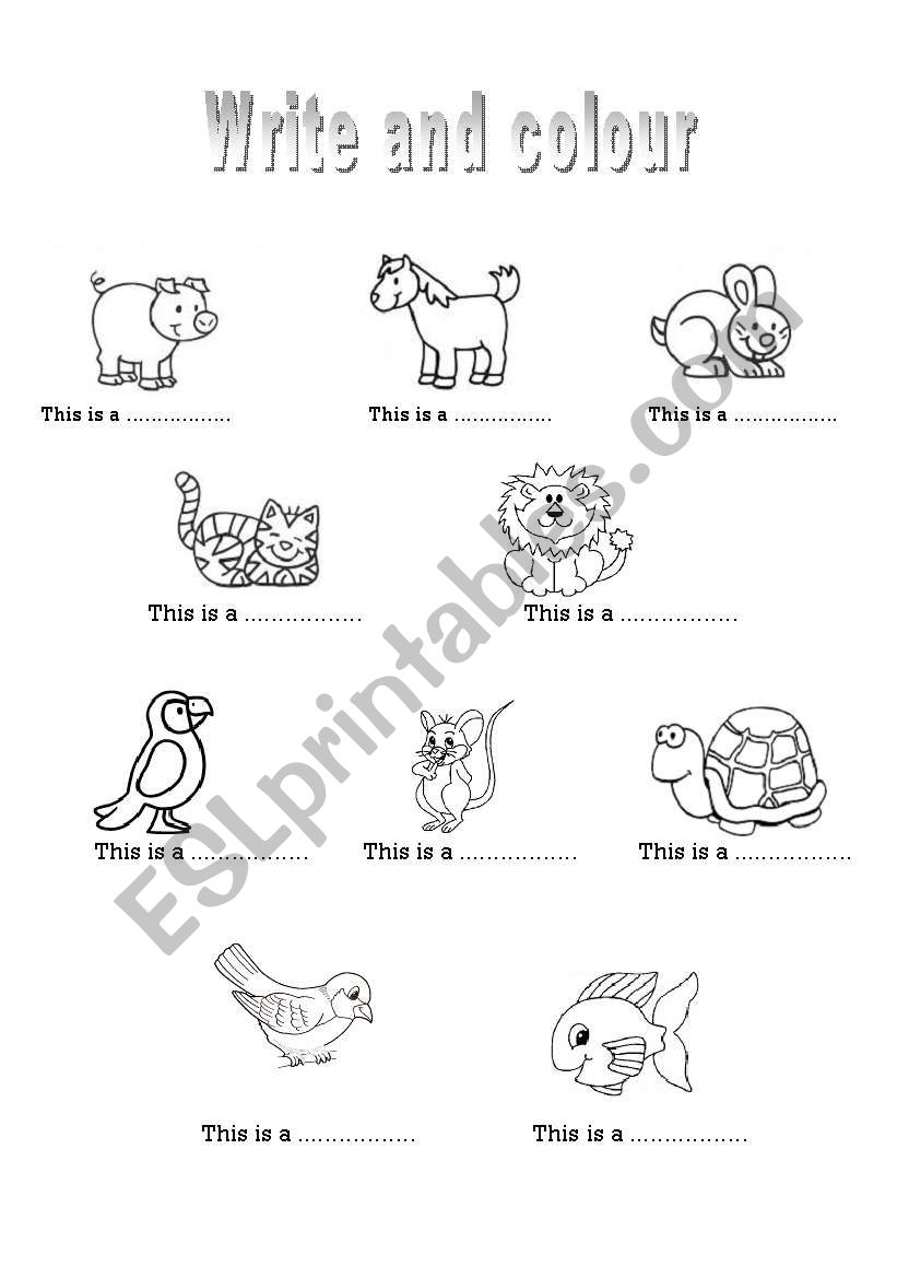 The animals 2 worksheet
