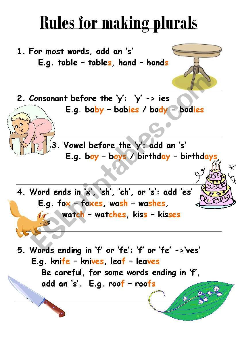 Rules For Making Plurals Esl Worksheet By Doreenmchale