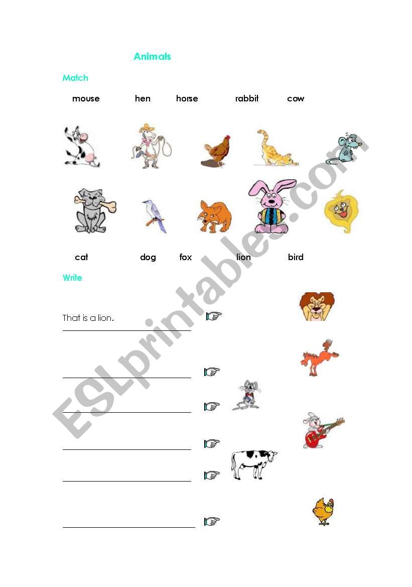 Animals worksheet