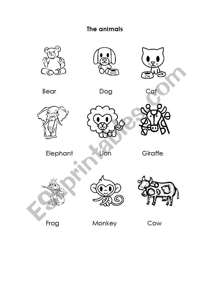 animals worksheet