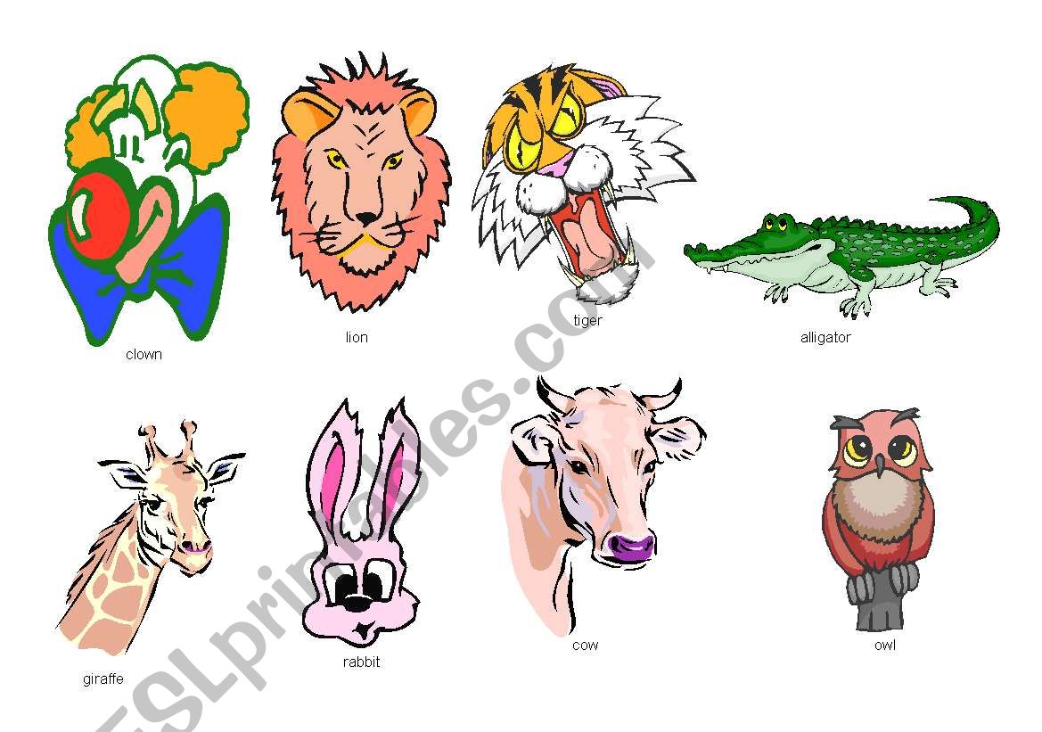 ANIMALS worksheet