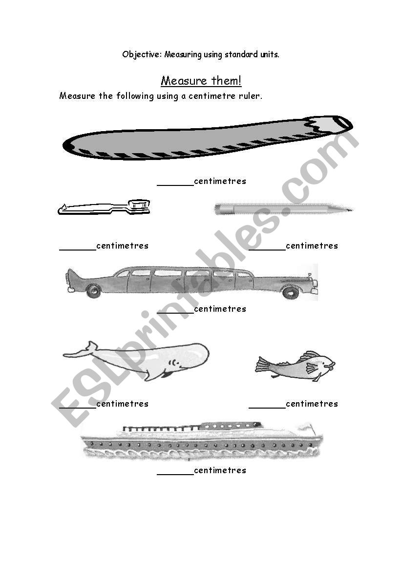 Measure Them worksheet
