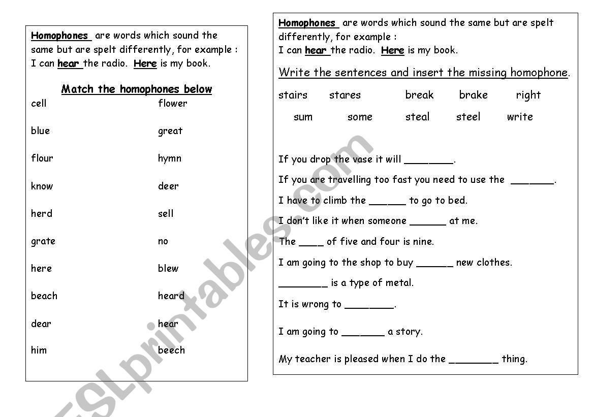 Homophones worksheet