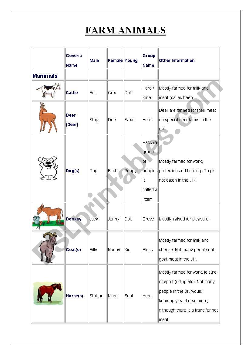 FARM ANIMALS worksheet