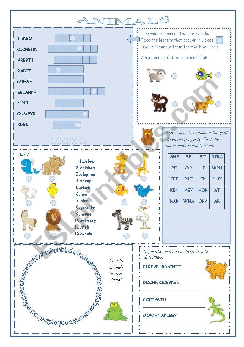 Animals worksheet