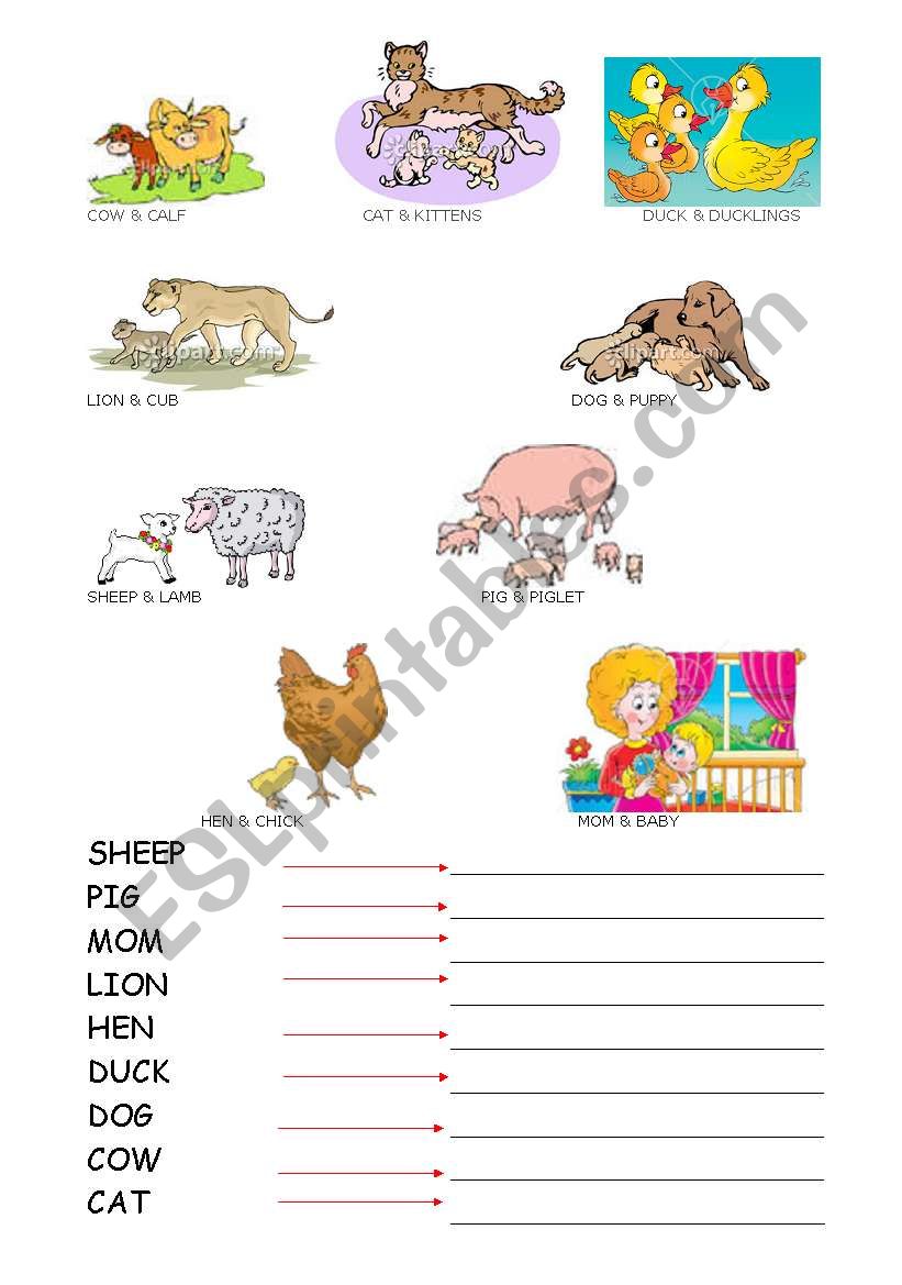mom animals and baby animals worksheet