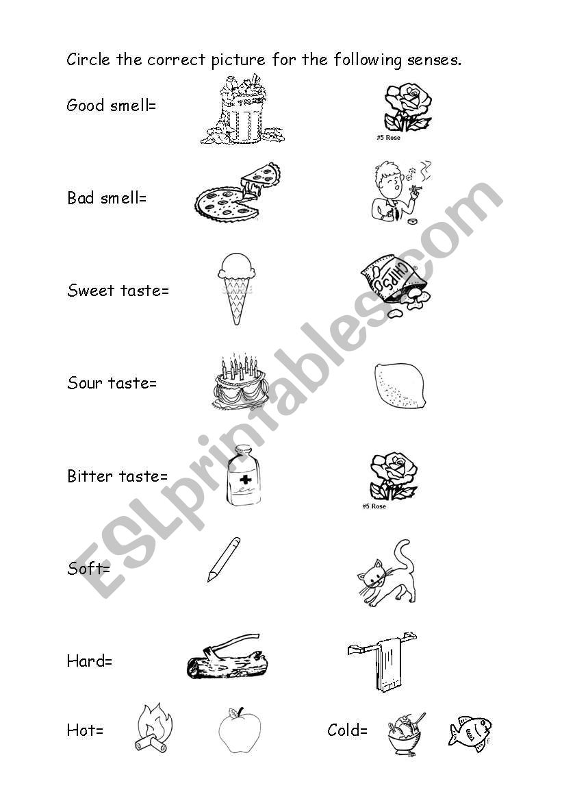 Our senses worksheet