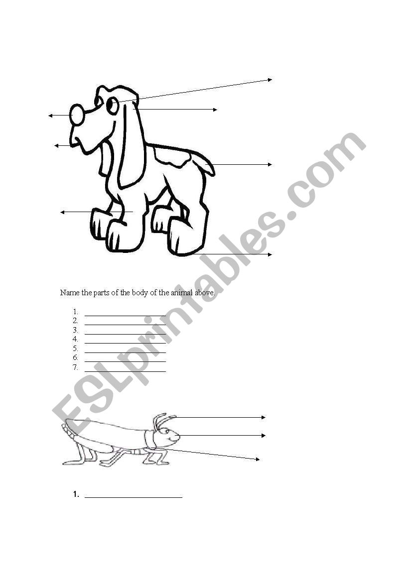 ANIMAL BODY PARTS worksheet