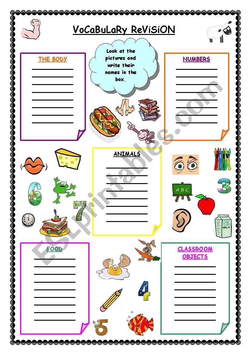 Elementary Vocabulary Revision