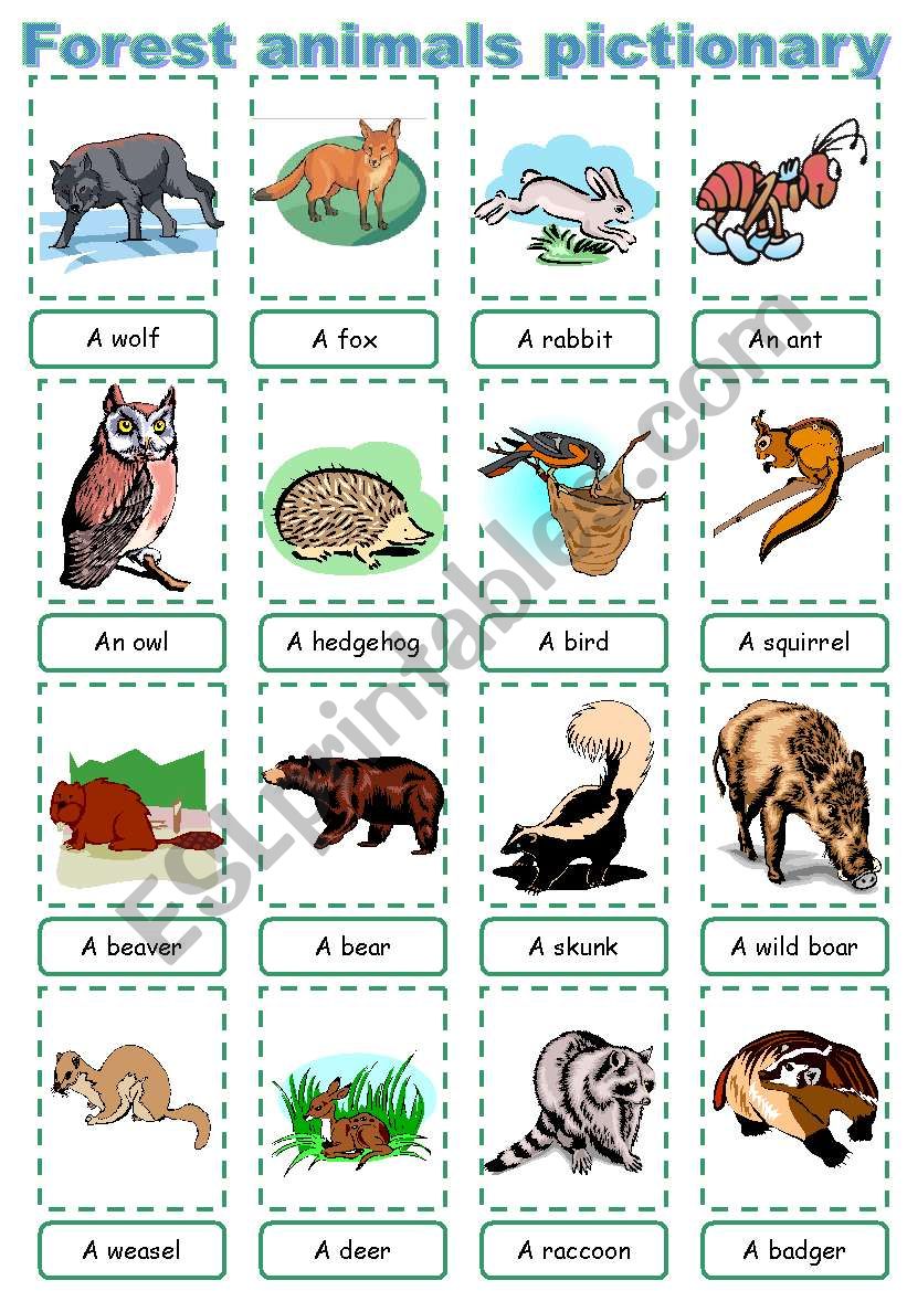 Forest animal pictionary worksheet