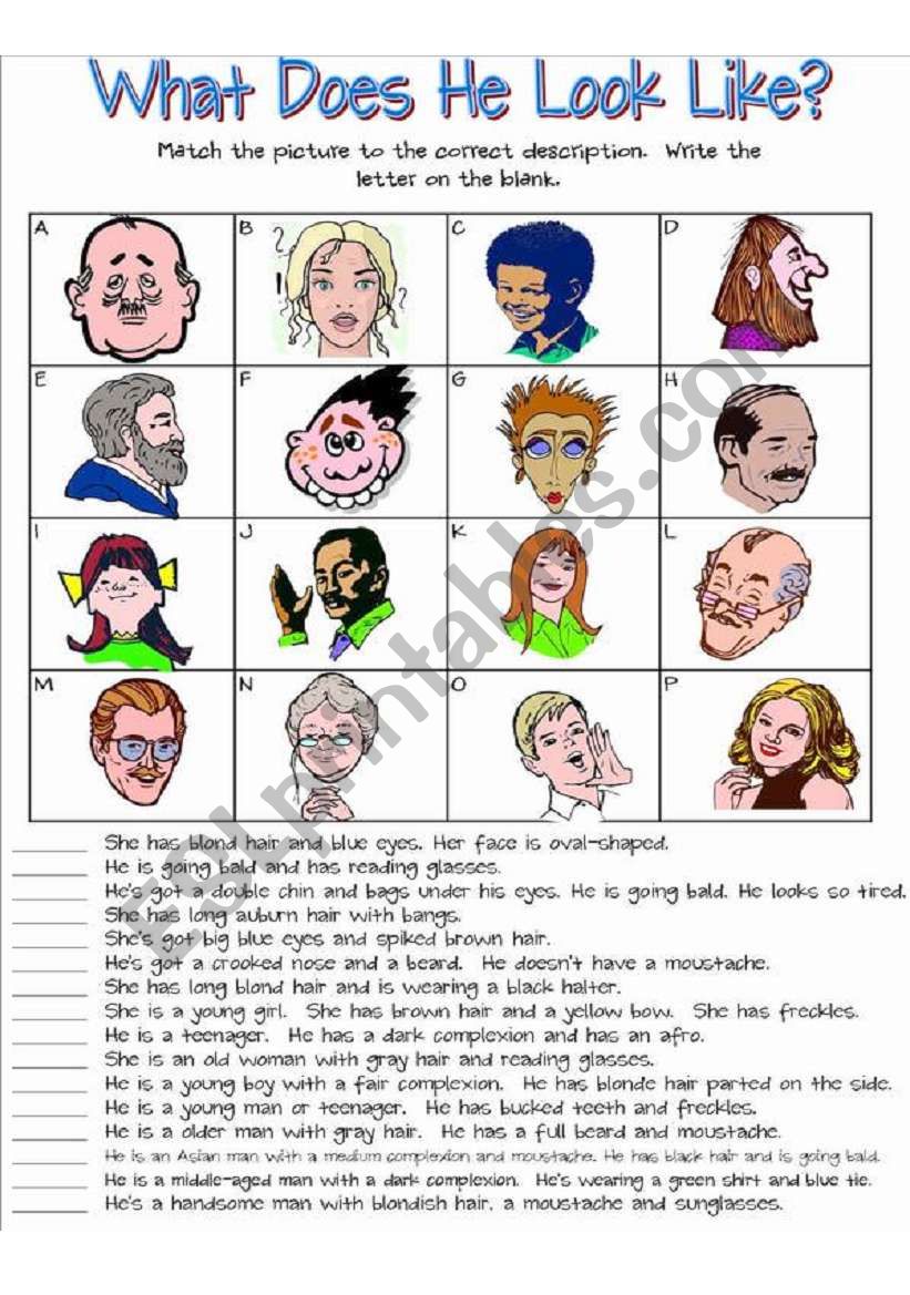 `What Does He Look Like - ESL worksheet by susiebelle